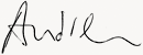 Andrei signature