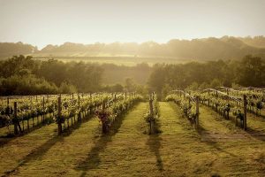 Best of British Supper Clubs